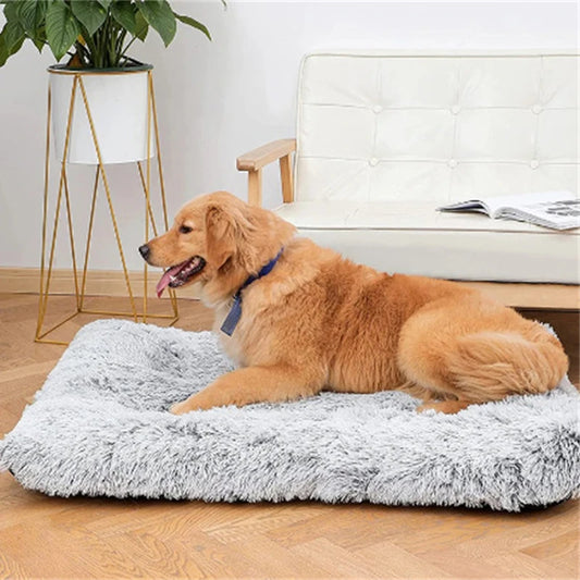 Cama Ortopédica de Pelúcia para Cães – Espuma de Memória, Impermeável e Lavável
