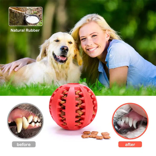 Bola Interativa para Cães – Brinquedo de Borracha para Mastigação e Limpeza Dental